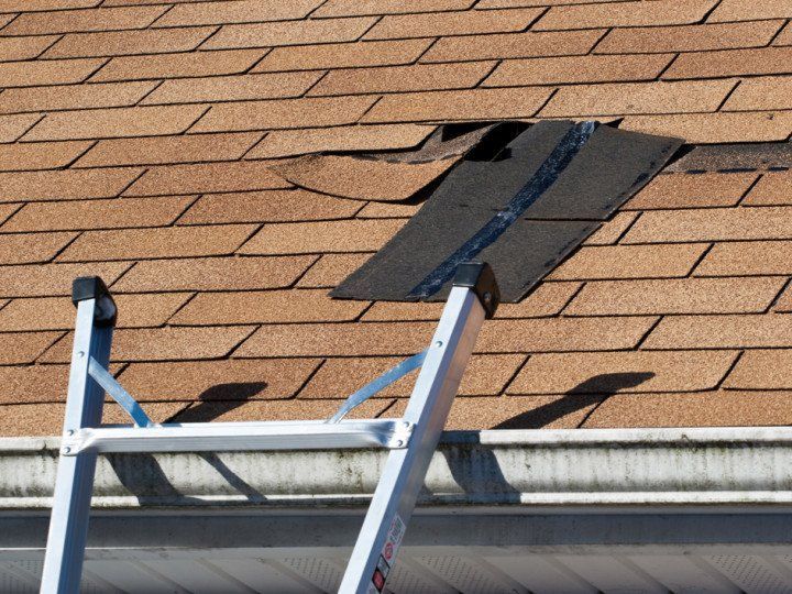 Shingle Roofing — RAD Roofing & Construction LLC in Green Valley, AZ